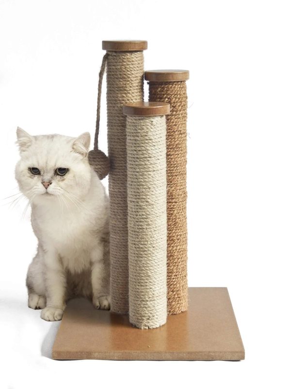 AmazonBasics Cat Triple Scratching Posts Discount