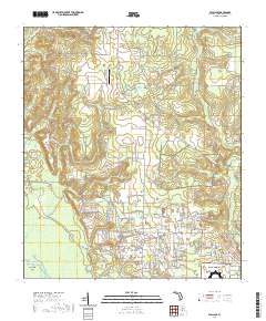 USGS US Topo 7.5-minute map for Wallace FL 2021 Hot on Sale