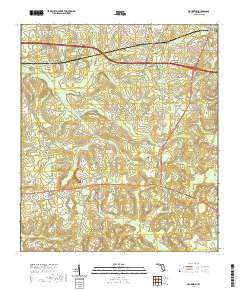 USGS US Topo 7.5-minute map for Waukeenah FL 2021 For Discount