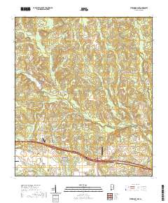 USGS US Topo 7.5-minute map for Steelwood Lake AL 2020 For Sale