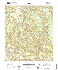 USGS US Topo 7.5-minute map for Warrior Swamp FL 2021 Online now