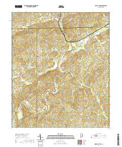 USGS US Topo 7.5-minute map for Wadley South AL 2020 Sale