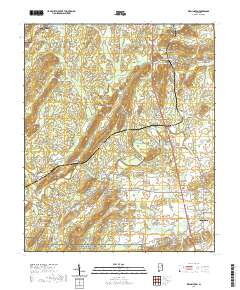 USGS US Topo 7.5-minute map for Wellington AL 2020 Online Sale