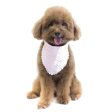 Hey Cuzzies Convertible Bandana For Dogs (Perry) Hot on Sale