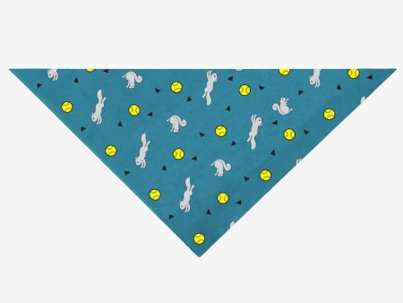 Insect Shield Ball & Squirrel Flea & Tick Bandana For Dogs (Teal) For Sale