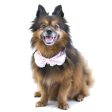 Hey Cuzzies Convertible Bandana For Dogs (Perry) Hot on Sale