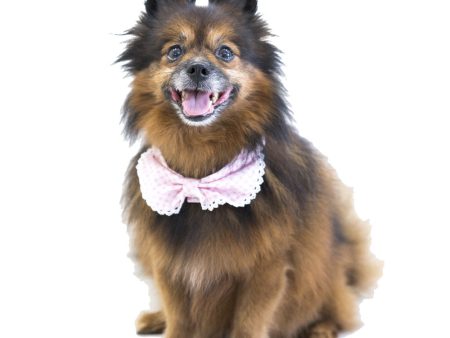 Hey Cuzzies Convertible Bandana For Dogs (Perry) Hot on Sale