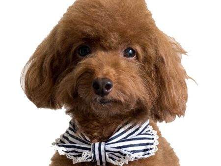 Hey Cuzzies Convertible Bandana For Dogs (Coco) on Sale